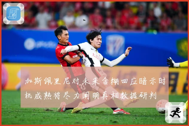 加斯佩里尼对未来含糊回应暗示时机成熟将尽力阐明真相数据研判