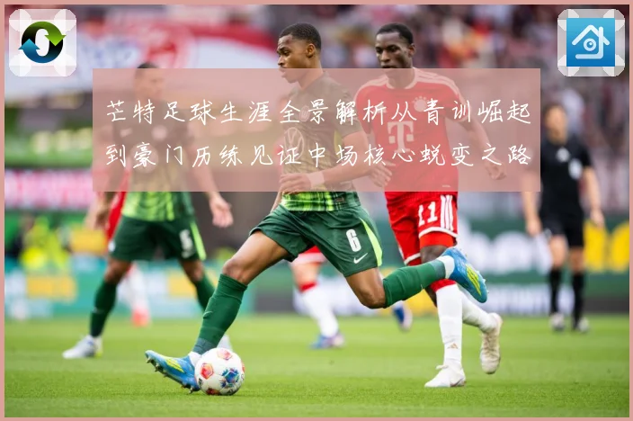 芒特足球生涯全景解析从青训崛起到豪门历练见证中场核心蜕变之路