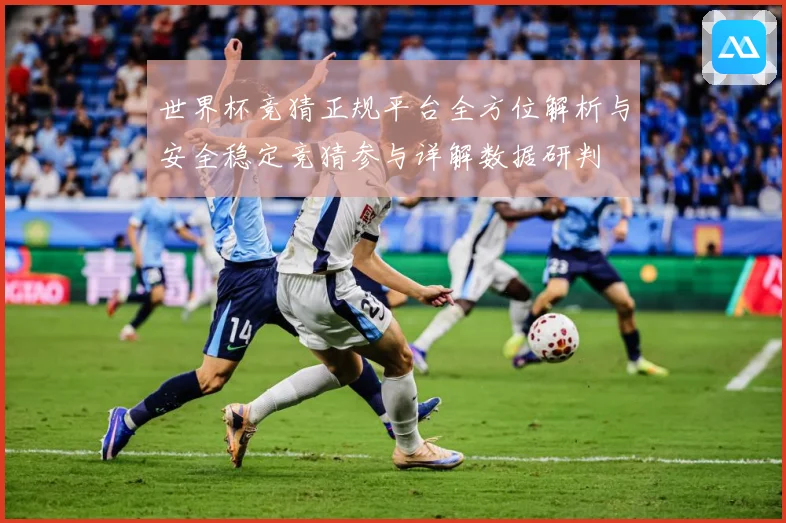 世界杯竞猜正规平台全方位解析与安全稳定竞猜参与详解数据研判