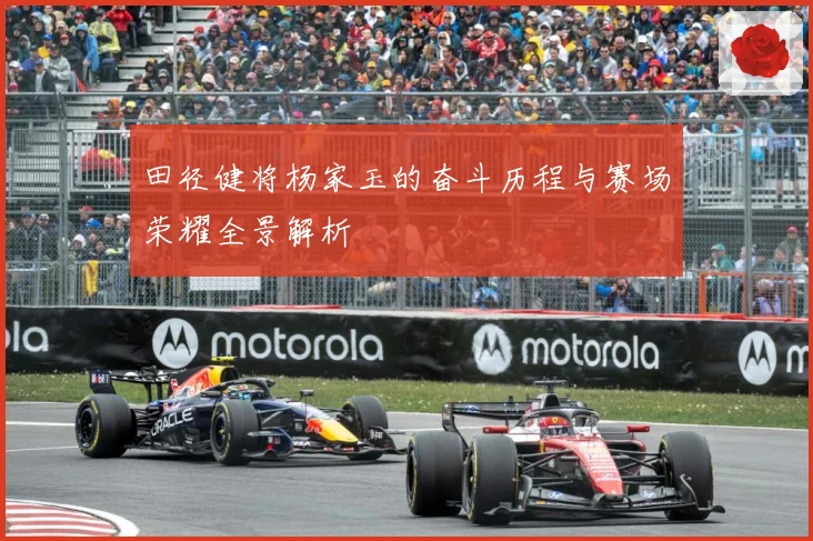 田径健将杨家玉的奋斗历程与赛场荣耀全景解析